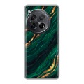 Дизайнерский силиконовый чехол для OnePlus 12 Мрамор зеленое золото
