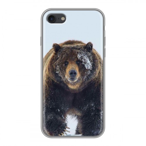 Дизайнерский силиконовый чехол для Iphone 7 Медведь