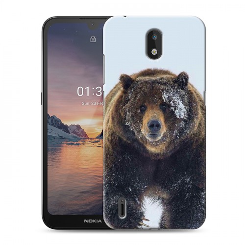 Дизайнерский силиконовый чехол для Nokia 1.3 Медведь