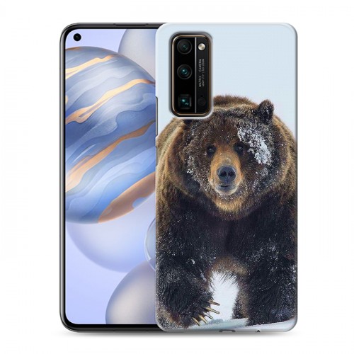 Дизайнерский пластиковый чехол для Huawei Honor 30 Медведь