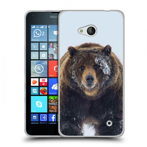 Дизайнерский пластиковый чехол для Microsoft Lumia 640 Медведь