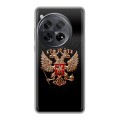 Дизайнерский пластиковый чехол для OnePlus 12 Герб России