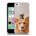 Дизайнерский пластиковый чехол для Iphone 5c Собака и котенок