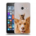 Дизайнерский пластиковый чехол для Microsoft Lumia 640 XL Собака и котенок