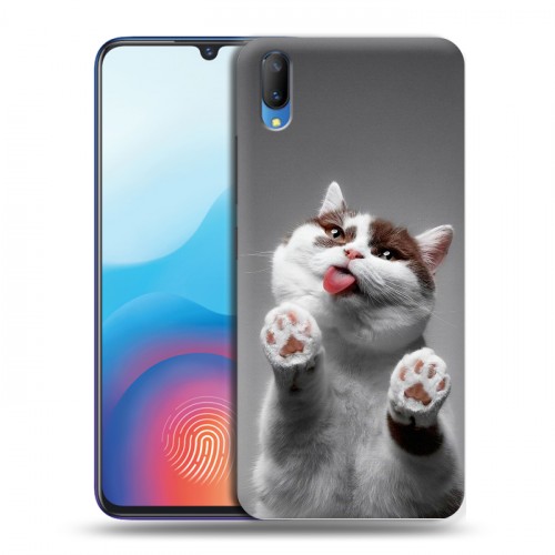 Дизайнерский пластиковый чехол для Vivo V11 Коты