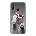 Дизайнерский силиконовый с усиленными углами чехол для Vivo Y17 Коты