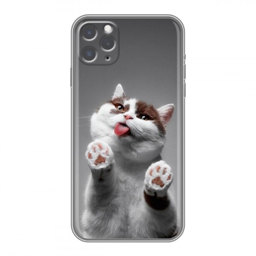 Дизайнерский силиконовый чехол для Iphone 11 Pro Коты