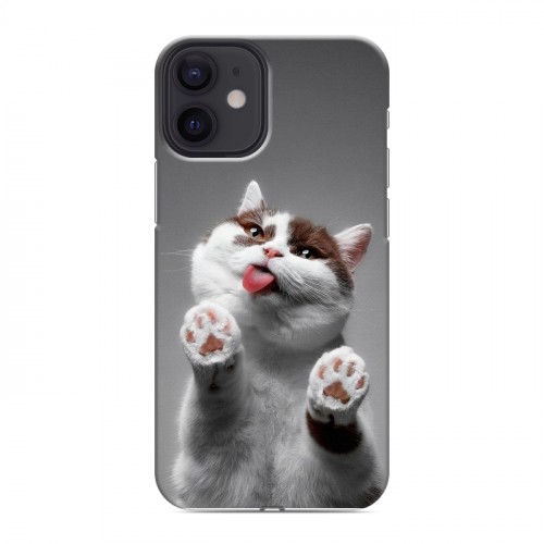 Дизайнерский силиконовый чехол для Iphone 12 Mini Коты