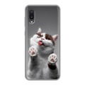Дизайнерский силиконовый чехол для Samsung Galaxy A02 Коты