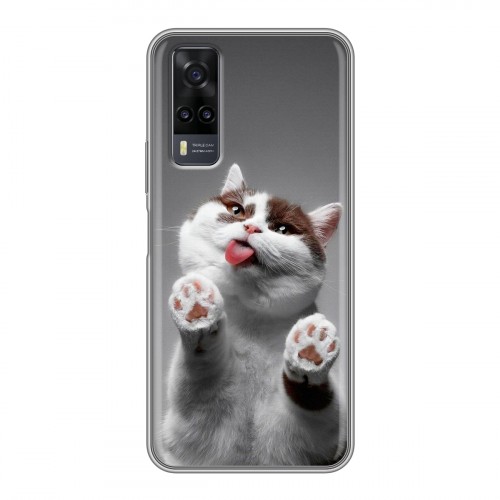 Дизайнерский пластиковый чехол для Vivo Y31 Коты