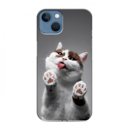 Дизайнерский силиконовый чехол для Iphone 13 Коты