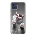 Дизайнерский силиконовый чехол для Samsung Galaxy A03 Коты