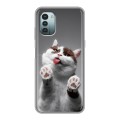 Дизайнерский силиконовый чехол для Nokia G11 Коты
