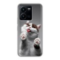 Дизайнерский силиконовый чехол для Vivo Y35 Коты