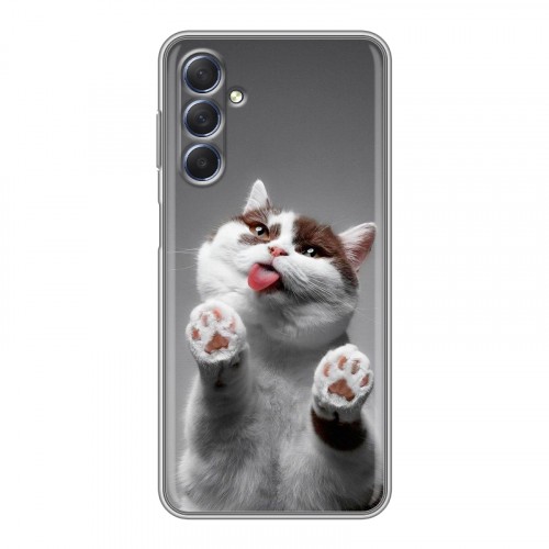 Дизайнерский силиконовый чехол для Samsung Galaxy M54 Коты