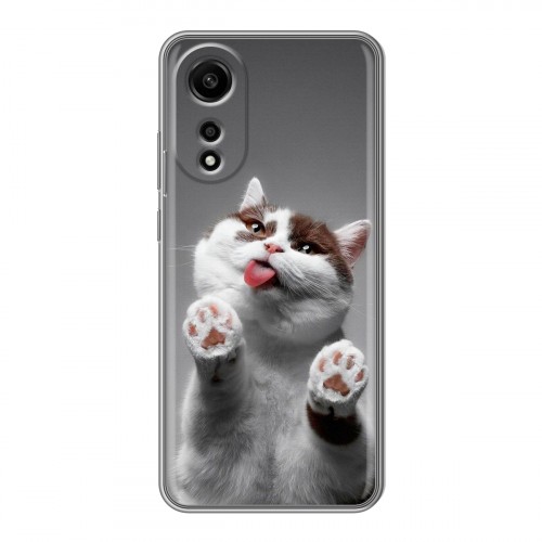 Дизайнерский пластиковый чехол для OPPO A78 4G Коты