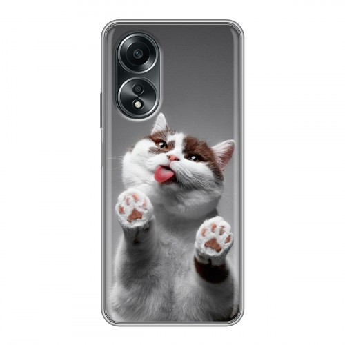 Дизайнерский пластиковый чехол для OPPO A58 4G Коты