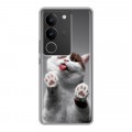 Дизайнерский силиконовый с усиленными углами чехол для Vivo V29 Коты