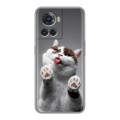 Дизайнерский силиконовый чехол для OnePlus Ace Коты