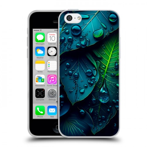 Дизайнерский пластиковый чехол для Iphone 5c Листья