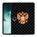Дизайнерский силиконовый чехол для OnePlus Pad Герб России принт
