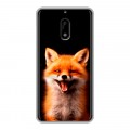 Дизайнерский пластиковый чехол для Nokia 6 Лиса