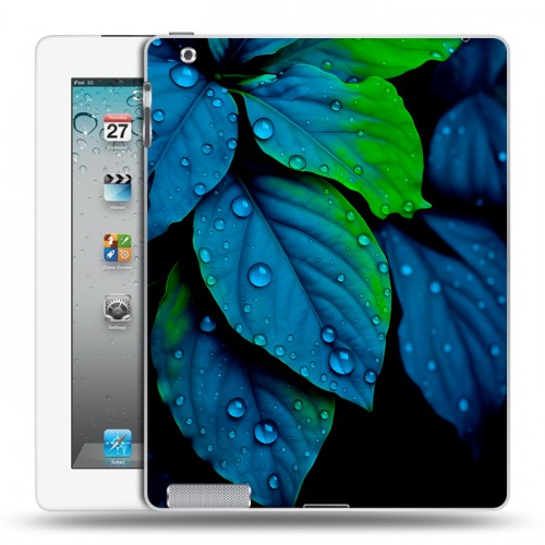 Дизайнерский пластиковый чехол для Ipad 2/3/4 Листья и роса