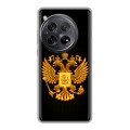 Дизайнерский пластиковый чехол для OnePlus 12 Герб России желтый