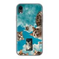 Полупрозрачный дизайнерский пластиковый чехол для Iphone Xr котики