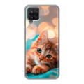Полупрозрачный дизайнерский силиконовый чехол для Samsung Galaxy A12 котик