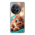 Полупрозрачный дизайнерский силиконовый чехол для OnePlus 12 котик