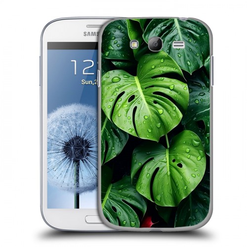 Дизайнерский пластиковый чехол для Samsung Galaxy Grand Листья