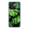 Дизайнерский пластиковый чехол для OnePlus 10T Листья