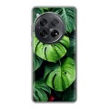 Дизайнерский силиконовый чехол для OnePlus 12 Листья