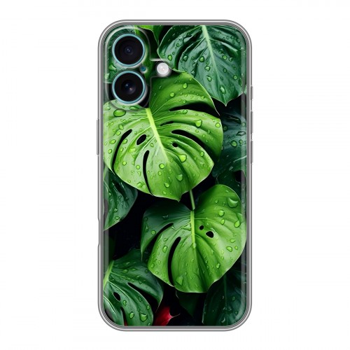 Дизайнерский силиконовый чехол для Iphone 16 Plus Листья
