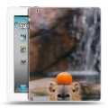 Дизайнерский пластиковый чехол для Ipad 2/3/4 Капибара с апельсином