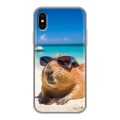 Дизайнерский силиконовый чехол для Iphone x10 Капибара