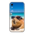 Дизайнерский силиконовый чехол для Iphone Xr Капибара