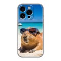 Дизайнерский силиконовый чехол для Iphone 16 Pro Капибара