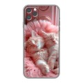 Дизайнерский силиконовый чехол для Iphone 11 Pro котята котики