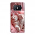Дизайнерский пластиковый чехол для Huawei Mate X3 котята котики