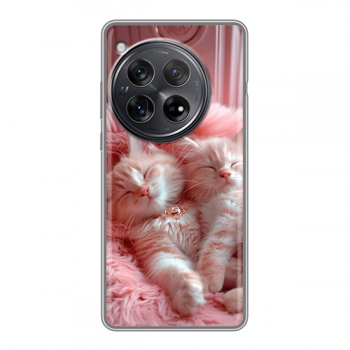 Дизайнерский силиконовый чехол для OnePlus 12 котята котики
