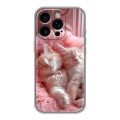 Дизайнерский силиконовый чехол для Iphone 16 Pro котята котики