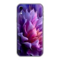 Дизайнерский силиконовый чехол для Iphone Xr женский цветы