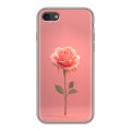 Полупрозрачный дизайнерский силиконовый чехол для Iphone 7 Розовая роза