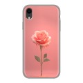 Полупрозрачный дизайнерский пластиковый чехол для Iphone Xr Розовая роза