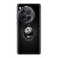 Дизайнерский пластиковый чехол для OnePlus 12 Герб Флаг СССР