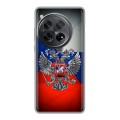 Дизайнерский силиконовый чехол для OnePlus 12 Флаг России