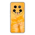Дизайнерский пластиковый чехол для Xiaomi 14 Ultra Милые котята