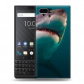 Дизайнерский пластиковый чехол для BlackBerry KEY2 Акулы